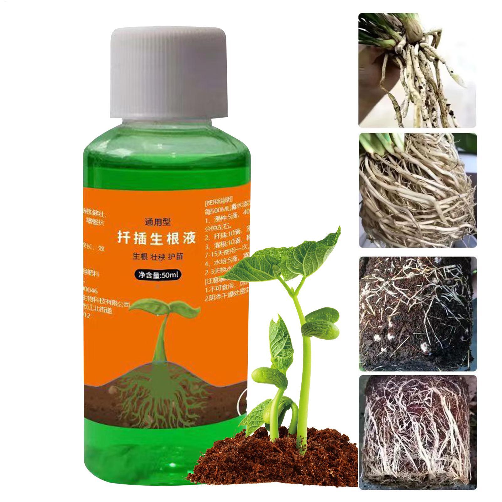 Root Stimulator Liquid - 50 ml Transplantations-Nährlösung, Pflanzflüssigkeit zur schnellen