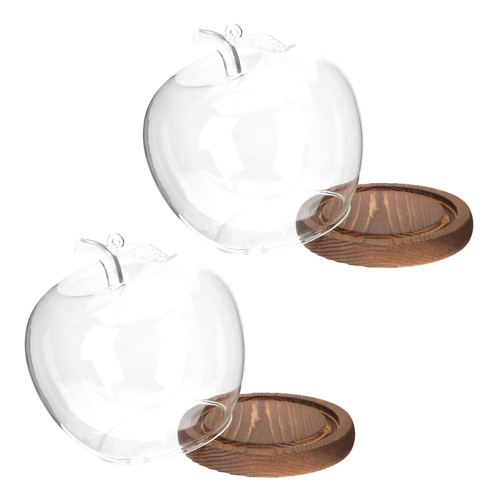 2 Stück Glasglocke mit Holzsoc – Plastic Dome Clear Bewertung und Preis